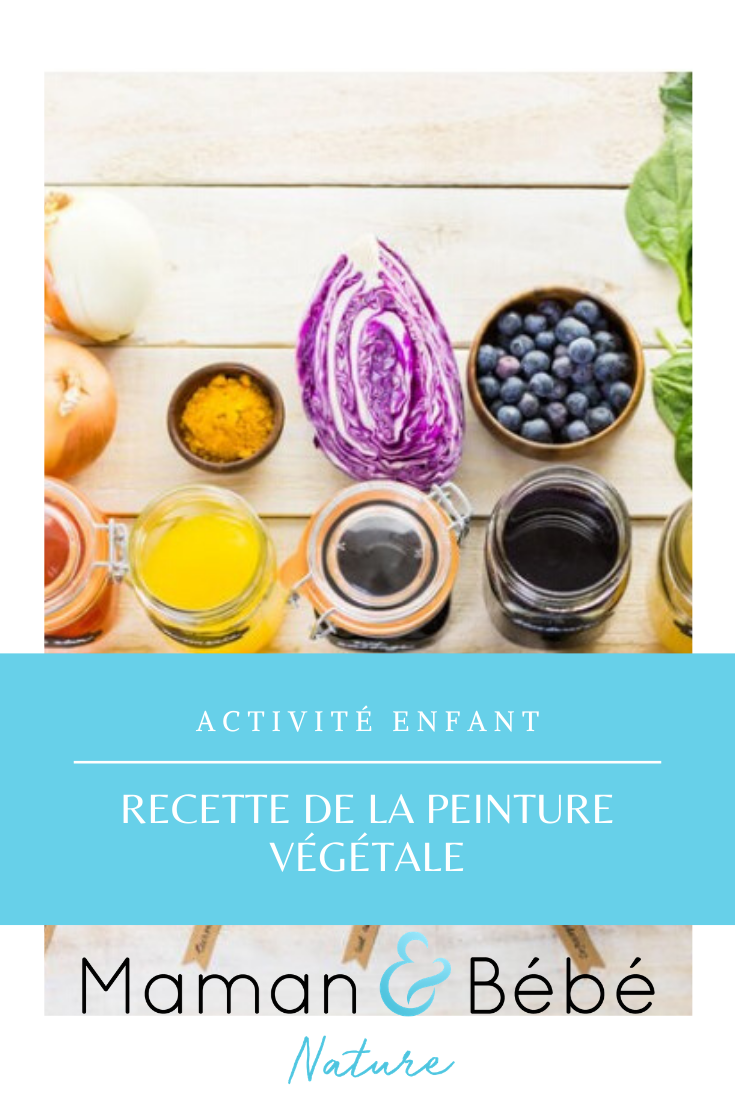 Recette de peinture végétale